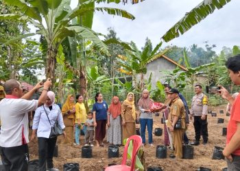 Bhabinkamtibmas Polsek Tanjung Agung Hadiri Pembagian Bibit Tanaman dan Ikan Lele di Desa Muara Meo