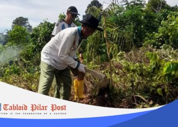 Lokasi Rencana Pembangunan Masjid, Bersih-bersih Lahan, Agenda Warga LDII Manokwari Barat