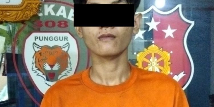 Pelaku Cabul Ditangkap Polsek Punggur