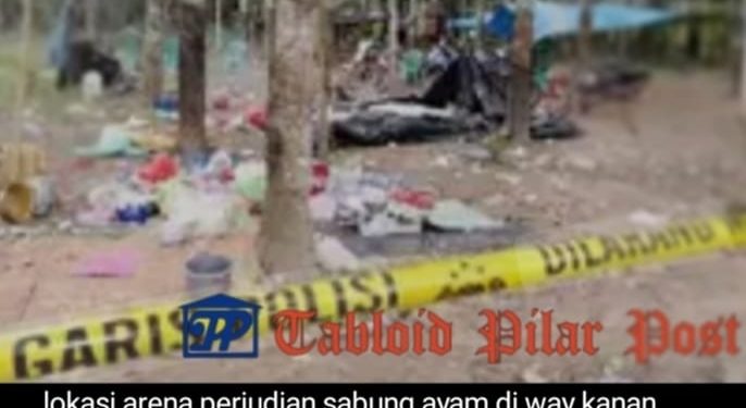 Fakta lain di balik lokasi arena judi sabung Ayam way kanan Lampung