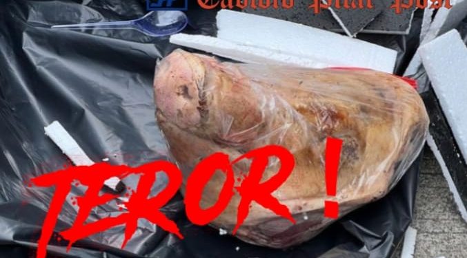 Teror terhadap kebebasan pers ! jurnalis Tempo mendapatkan kiriman paket kepala babi