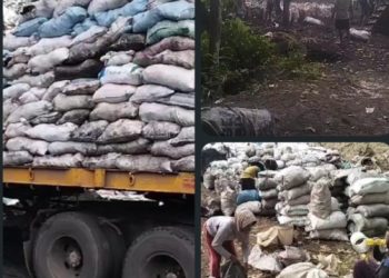 Ketua MB-PKRI Muara Enim Soroti Adanya Dugaan aktivitas Tambang Batubara Ilegal Terang-terangan Beroperasi