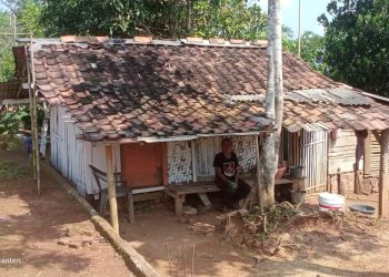 Miris!!! Janda Bersama Dua Anak Yatim Tinggal Di Gubuk