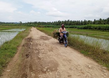Warga Tambakrejo Keluhkan Jalan Menuju Pantai Sendiki Bertahun Tahun Tidak Ada Perbaikan