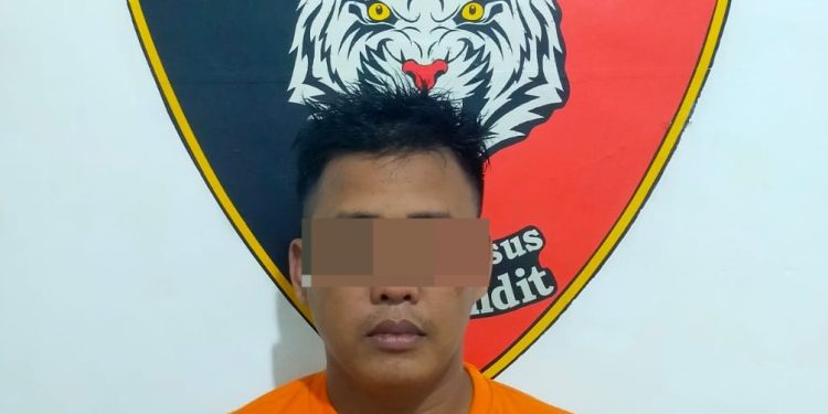 DPO Pelaku Curas Terhadap Anak SMP Berhasil Diringkus Tekab 308 Polsek Rumbia