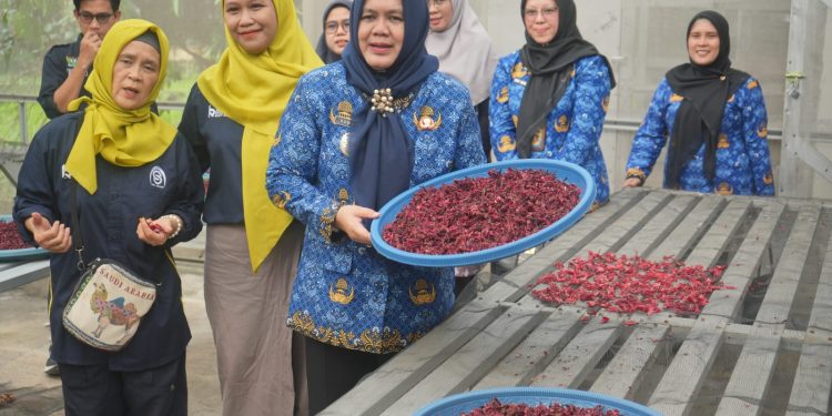 Tingkatkan Kesejahteraan Masyarakat, Pemkab Muara Enim dan Bukit Asam (PTBA) Sinergi Dukung UMKM