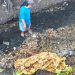 Temukan Mayat Wanita Di Sungai Balong Rejoyoso