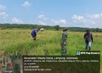 Terinspirasi Suratman, Warga Sidorahayu Optimalkan Pengolahan Lahan Sawah