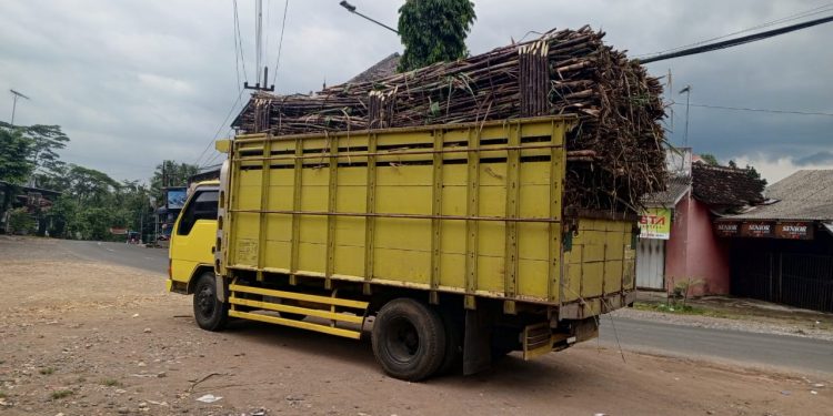Musim Panen Tebu Harap Berhati Banyak Truk Wira Wiri Angkut Tebu Di Malang Selatan