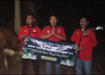 Jelang Idul Adha, Gerakan Relawan Jokowi DPD Provinsi Banten Terima Bantuan Sapi dari Kapolri