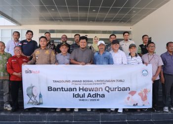 Semen Baturaja Salurkan 13 Ekor Sapi Kurban di Tiga Wilayah Operasional