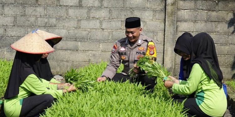 Bupati Lampung Tengah Ardito Wijaya Melantik Sekertaris Daerah Kabupaten Lampung Tengah