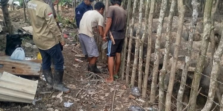 Kijon Apresiasi Tindakan Cepat Pemkab Muara Enim Tangani Wabah Ngorok