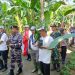 Senior Manager PT PLN Tanam Pohon Mangrove Bersama Berbagai Elemen Di Umbulrejo