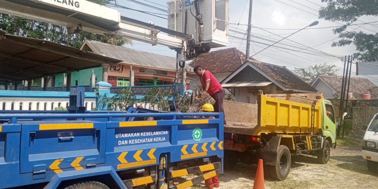 DPUBM Malang Tebang Pohon Depan SMPN 1 Gedangan ,Ada Apa….