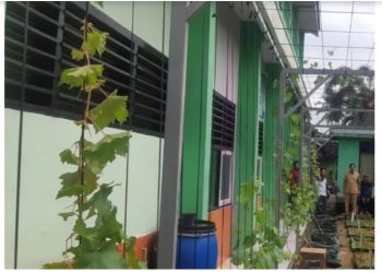 SMPN 1 Panggul Kembangkan Kebun Anggur Edukatif Sebagai Gerakan Penghijauan Sekolah