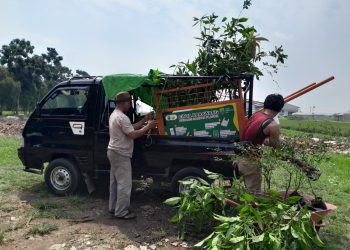 Menjaga Kelestarian Alam Lingkungan Di Kabupaten Karawang Manpaat Ruang Terbuka Hijau