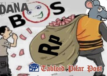 Temuan BPK atas Penyalahgunaan Dana BOS Oleh Beberapa Sekolah di Purwakarta, Hingga Negara Rugi 2,2 Miliar