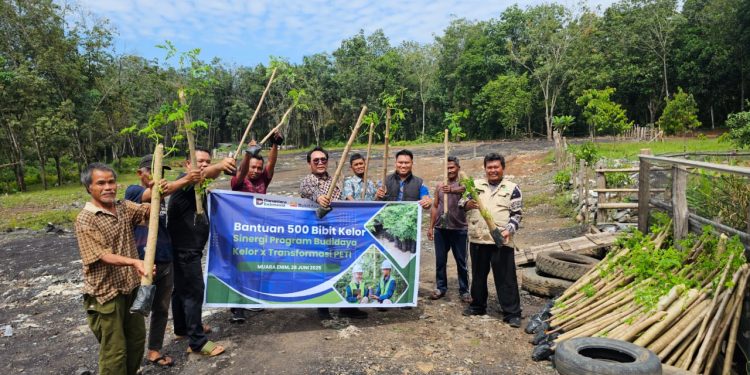 Wujudkan Pertanian Berkelanjutan Program Transformasi PETI di Desa Darmo Jadi Pionir Ketahanan Pangan