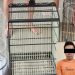 Polsek Terbanggi Besar Ungkap Kasus Pencurian Burung di Perum Yukum Jaya, Dua Pelaku Diamankan