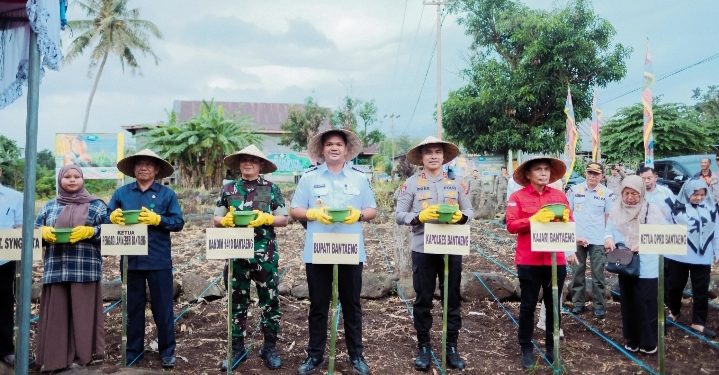 Bupati Bantaeng Lakukan Tanam Jagung Serentak Dalam Mendukung Program Swasembada Pangan