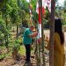 Camat Negeri Agung : Menyambut HUT RI ke-80, Masyarakat Dihimbau Pasang Bendera Merah Putih