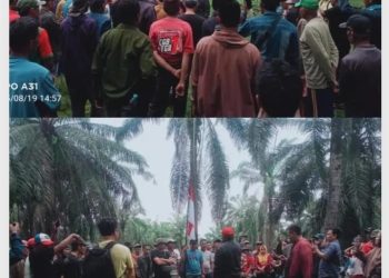 Sejak 2002 Tak Tuntas, Konflik Lahan Warga vs PTPN VII Memanas