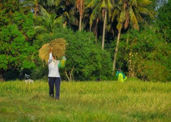 Seruan Atasi Kartel Pangan, Kolaborasi Kampus, Pemerintah, dan Petani Digaungkan