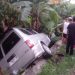 Mobil Terperosok di Turunan Jalan Raya Kelerang Wonosobo, Empat Orang Satu Keluarga Selamat