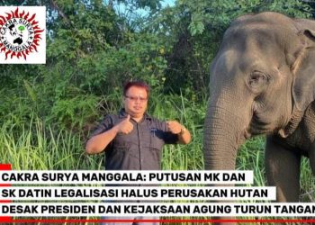 CAKRA SURYA MANGGALA: PUTUSAN MK DAN SK DATIN LEGALISASI HALUS PERUSAKAN HUTAN