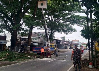 Atas Permintaan Warga Sidorejo, UPT Bina Marga Bululawang Lakukan Pengeprasan Pohon