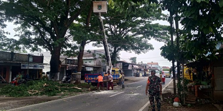 Atas Permintaan Warga Sidorejo, UPT Bina Marga Bululawang Lakukan Pengeprasan Pohon