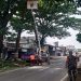 Atas Permintaan Warga Sidorejo, UPT Bina Marga Bululawang Lakukan Pengeprasan Pohon