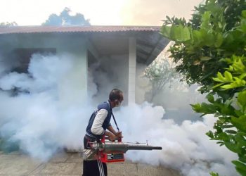 Kasus DBD di Indonesia Meningkat, Kemenkes Imbau Masyarakat Waspada dan Gencarkan PSN 3M Plus