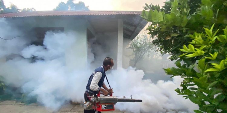 Kasus DBD di Indonesia Meningkat, Kemenkes Imbau Masyarakat Waspada dan Gencarkan PSN 3M Plus