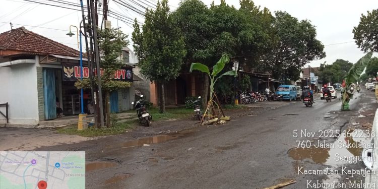 Jalan Rusak di Sengguruh “Tumbuh Pisang”, Warga Protes, Hj. Sumai Langsung Gerak Cepat