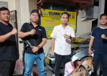 Demi HP, Pria Ini Curi Kambing Milik Adik Kandungnya
