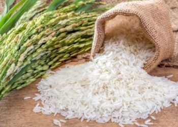 Harga Beras Naik di Sejumlah Daerah, Pemerintah Siapkan Operasi Pasar
