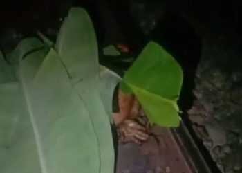 KAI Ingatkan Disiplin Berlalu Lintas Usai Tragedi Malioboro Ekspres di Magetan
