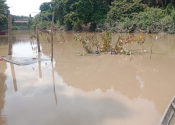 Sungai Lengi Tercemar Aktivitas Tambang Batu Bara, Warga Gunung Megang Menjerit!