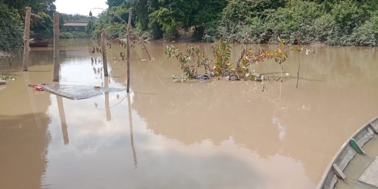 Sungai Lengi Tercemar Aktivitas Tambang Batu Bara, Warga Gunung Megang Menjerit!