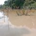 Sungai Lengi Tercemar Aktivitas Tambang Batu Bara, Warga Gunung Megang Menjerit!