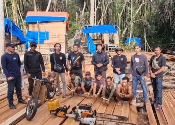 Polres Pelalawan Ungkap Praktik Illegal Logging di Perbatasan Pelalawan–Inhil, Enam Pelaku Ditangkap