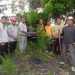 Camat Bunut Galang Gotong Royong dan Tanam Pohon Sawit di Lahan Aset Kecamatan