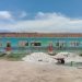 Proyek Rehabilitasi SDN 01 Bengkulu Diduga Asal-Asalan, Papan Proyek Baru Dipasang Saat Pekerjaan Sudah 60 Persen