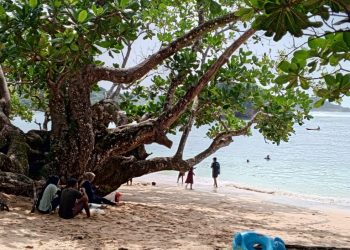 Pantai 3 In One Pelopor Wisata Sertifikat Halal Malang Selatan Dari MUI Dan Raih Radar Award Tahun 2025