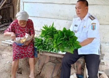 Potret Miris Nenek Sawinah di Way Kanan: Hidup Sebatangkara di Gubuk Tua Meski Sudah Puluhan Tahun Berjuang