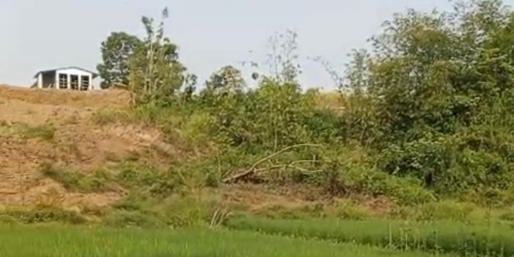 Ketua LSM GMBI Distrik Lebak Soroti Dugaan Perusakan Lahan oleh Perusahaan Peternakan