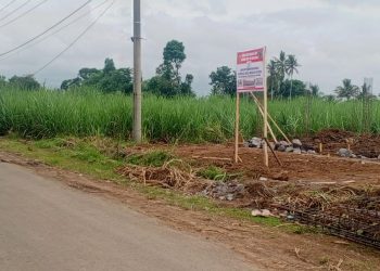 Membangun Kemandirian Ekonomi Desa, Koperasi Merah Putih Balearjo Siap Angkat Derajat Kesejahteraan Warga