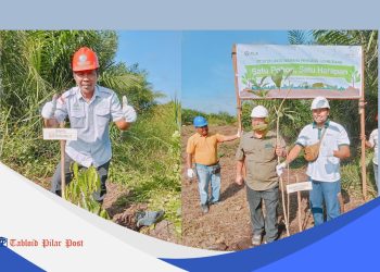 PT SWP Tanam Empat Jenis Pohon Kayu di Lahan Hutan Konservasi Pelalawan